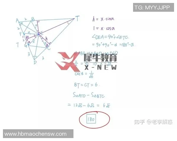 独家解析西安排球队的团队协作与其他球队的对比分析